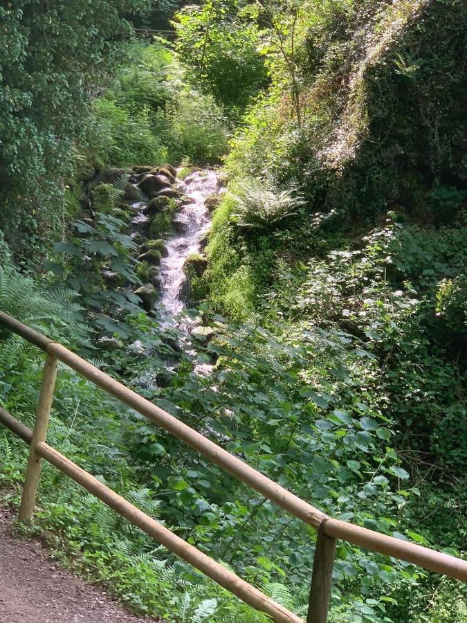 Dolcevita Bad Bertrich Bagian luar foto